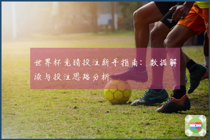 世界杯竞猜投注新手指南：数据解读与投注思路分析