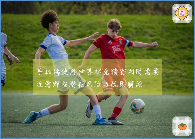 手机端使用世界杯竞猜官网时需要注意哪些潜在风险与规则解读