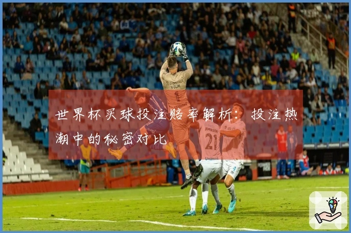 世界杯买球投注赔率解析：投注热潮中的秘密对比