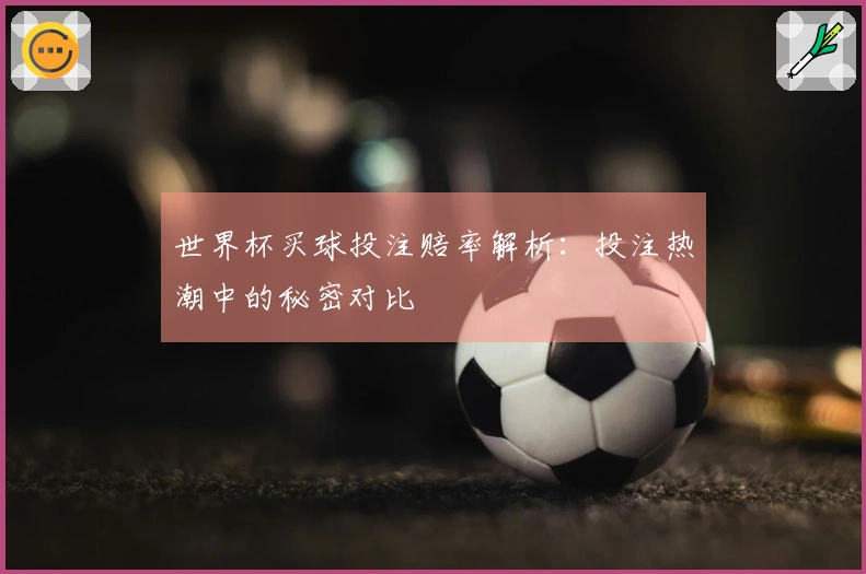 世界杯买球投注赔率解析：投注热潮中的秘密对比