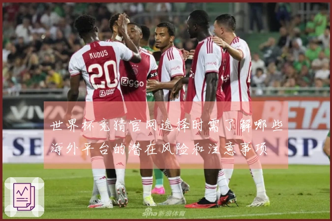 世界杯竞猜官网选择时需了解哪些海外平台的潜在风险和注意事项