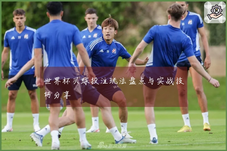 世界杯买球投注玩法盘点与实战技巧分享