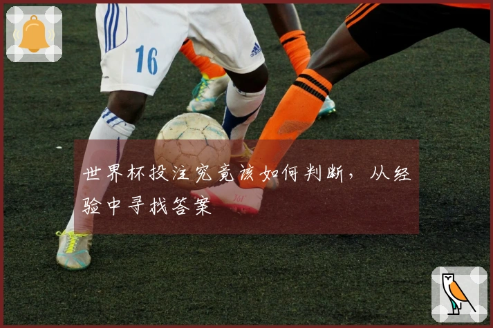 世界杯投注究竟该如何判断，从经验中寻找答案