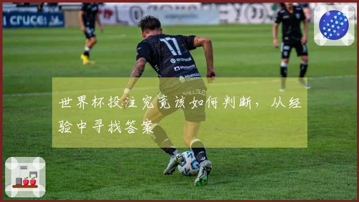 世界杯投注究竟该如何判断，从经验中寻找答案