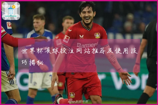 世界杯滚球投注网站推荐及使用技巧揭秘