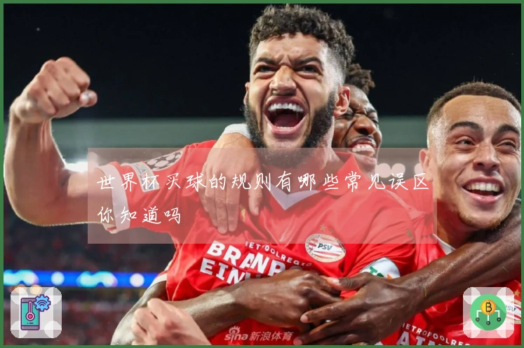 世界杯买球的规则有哪些常见误区你知道吗