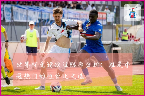 世界杯竞猜投注赔率分析：谁是夺冠热门的性价比之选