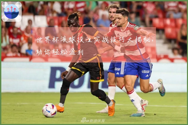 世界杯滚球投注实战技巧大揭秘，助你轻松盈利